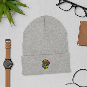 Multi Color logo Beanie