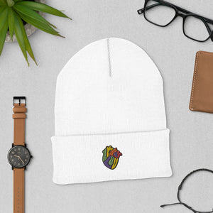 Multi Color logo Beanie